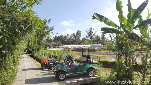 where-to-stay-in-ubud-bali