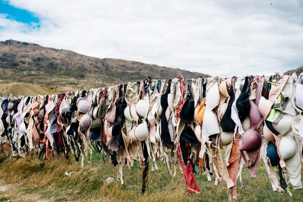 Photo showing many bras on a washing line in an empty feeld from the post best bras for women over 50.