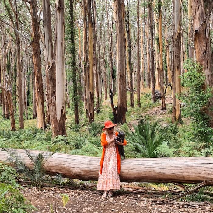 Woman in a forest wearing an orange boho dress. She is sitting on a log and cuddling a puppy.